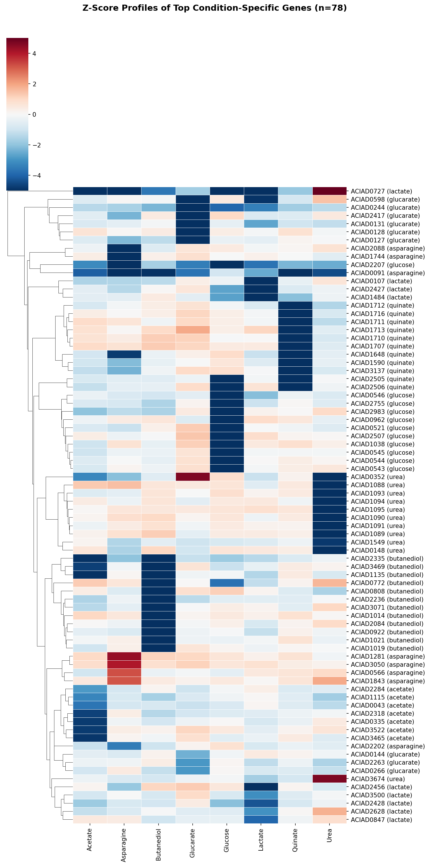 Z-score heatmap of top condition-specific genes