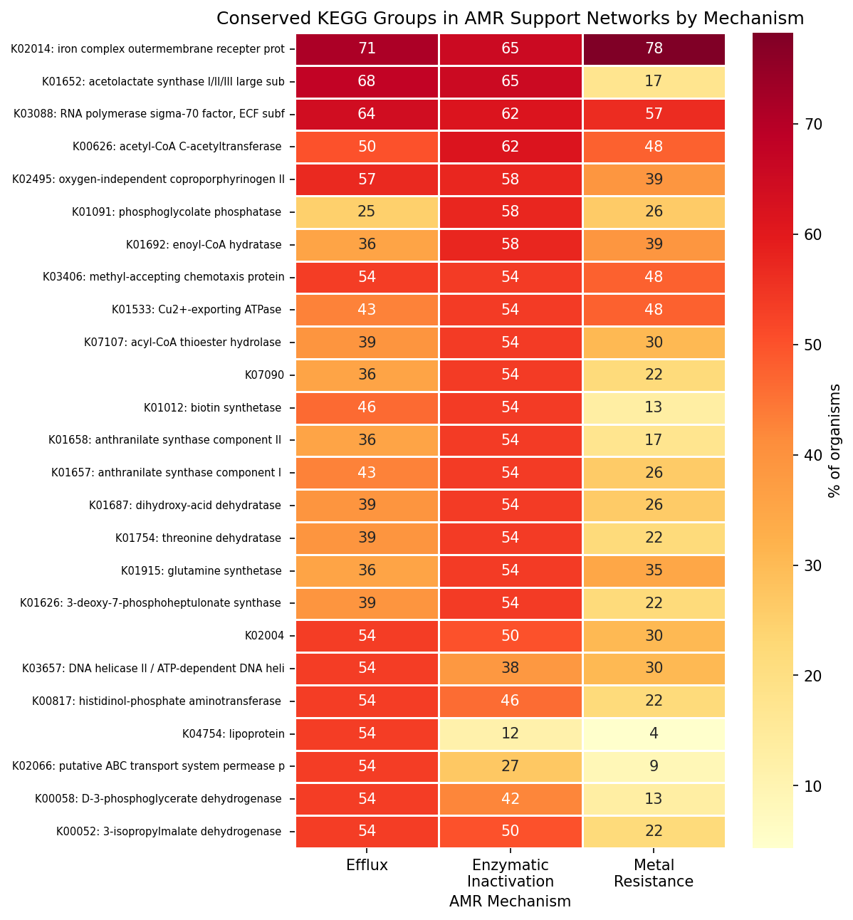 Conserved Kegg By Mechanism