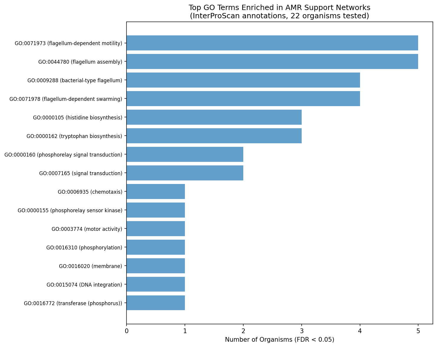 GO term enrichment in AMR support networks