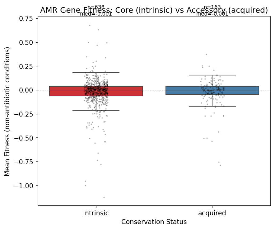 Fitness Core Vs Accessory Preview