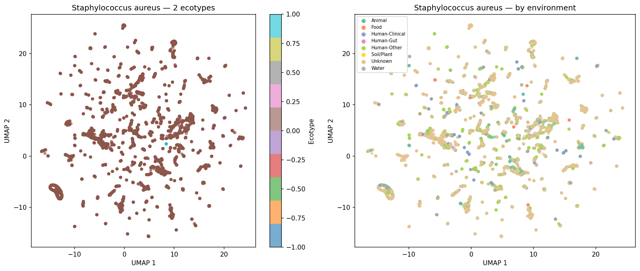 Nb05 Staphylococcus Aureus Ecotypes