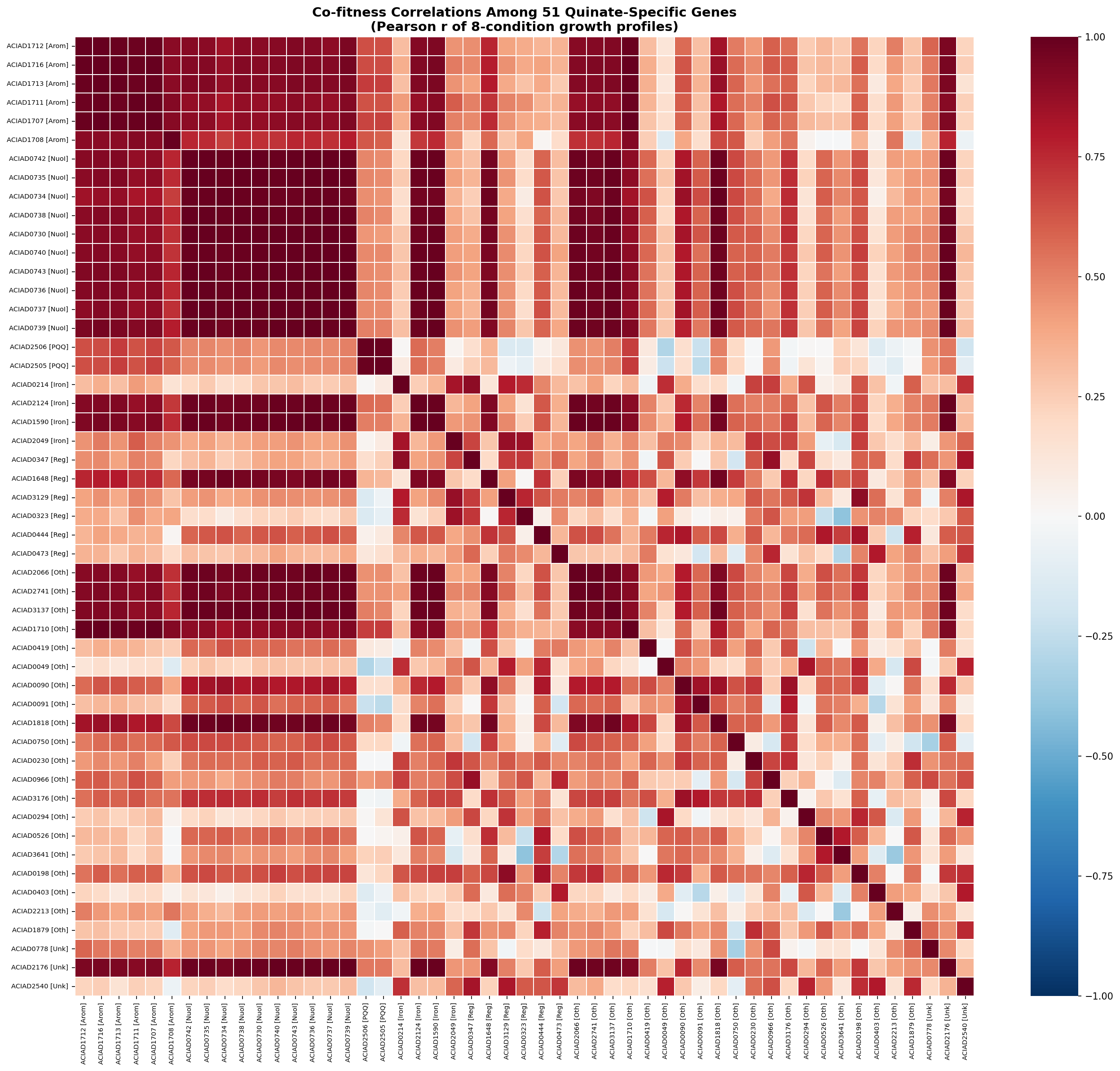 Co-fitness heatmap among 51 quinate-specific genes