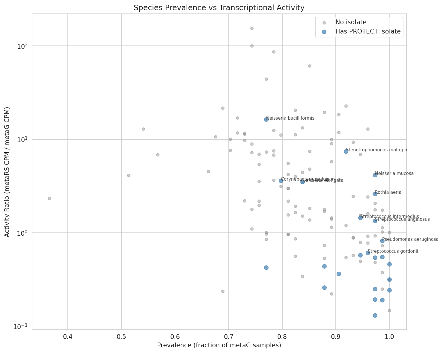 04 Prevalence Vs Activity