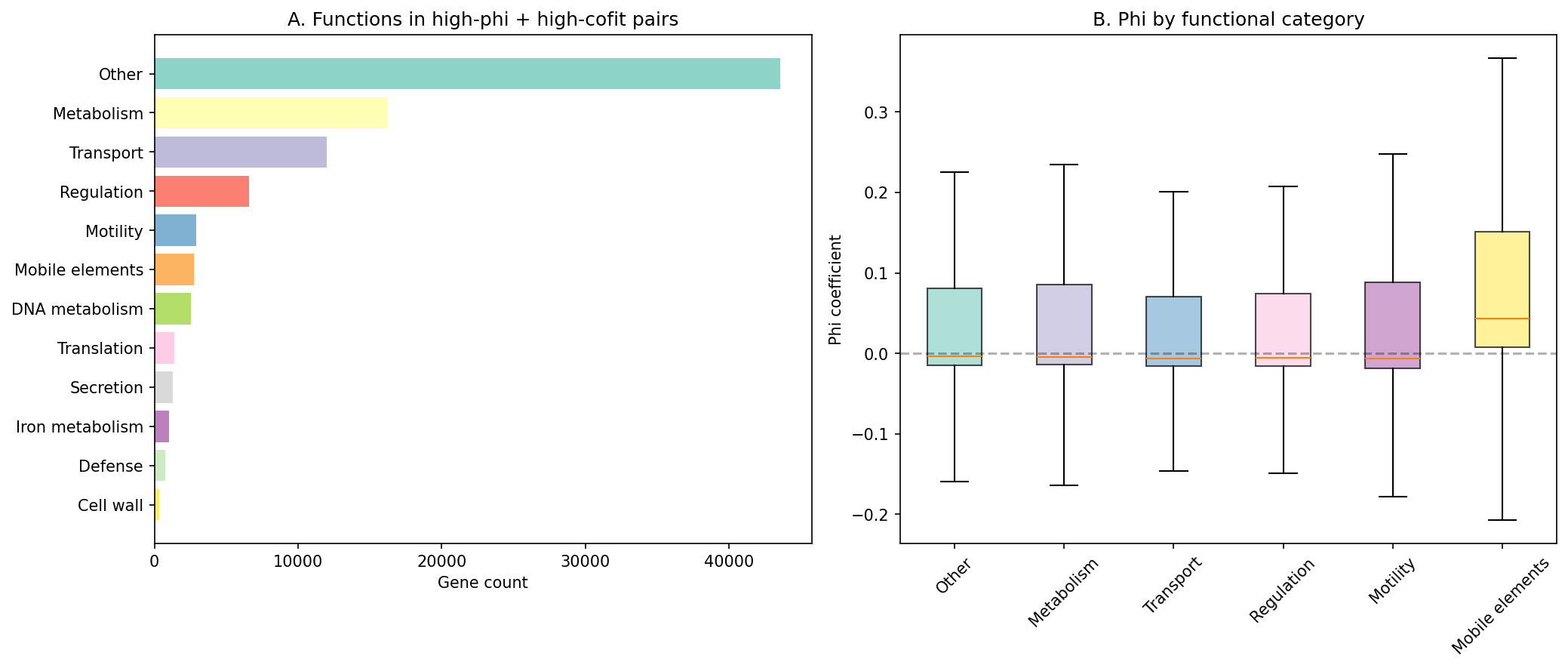 Functional Enrichment