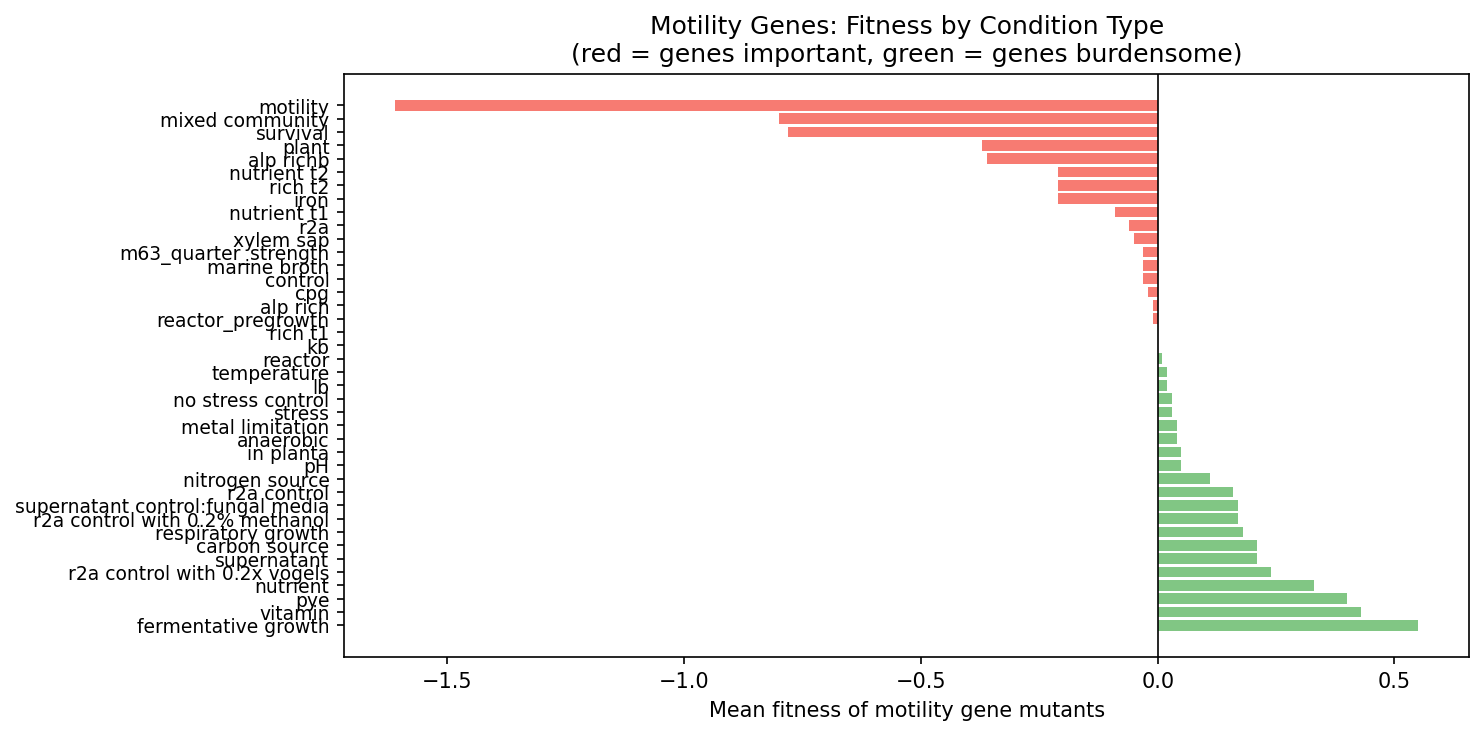 Motility Case Study