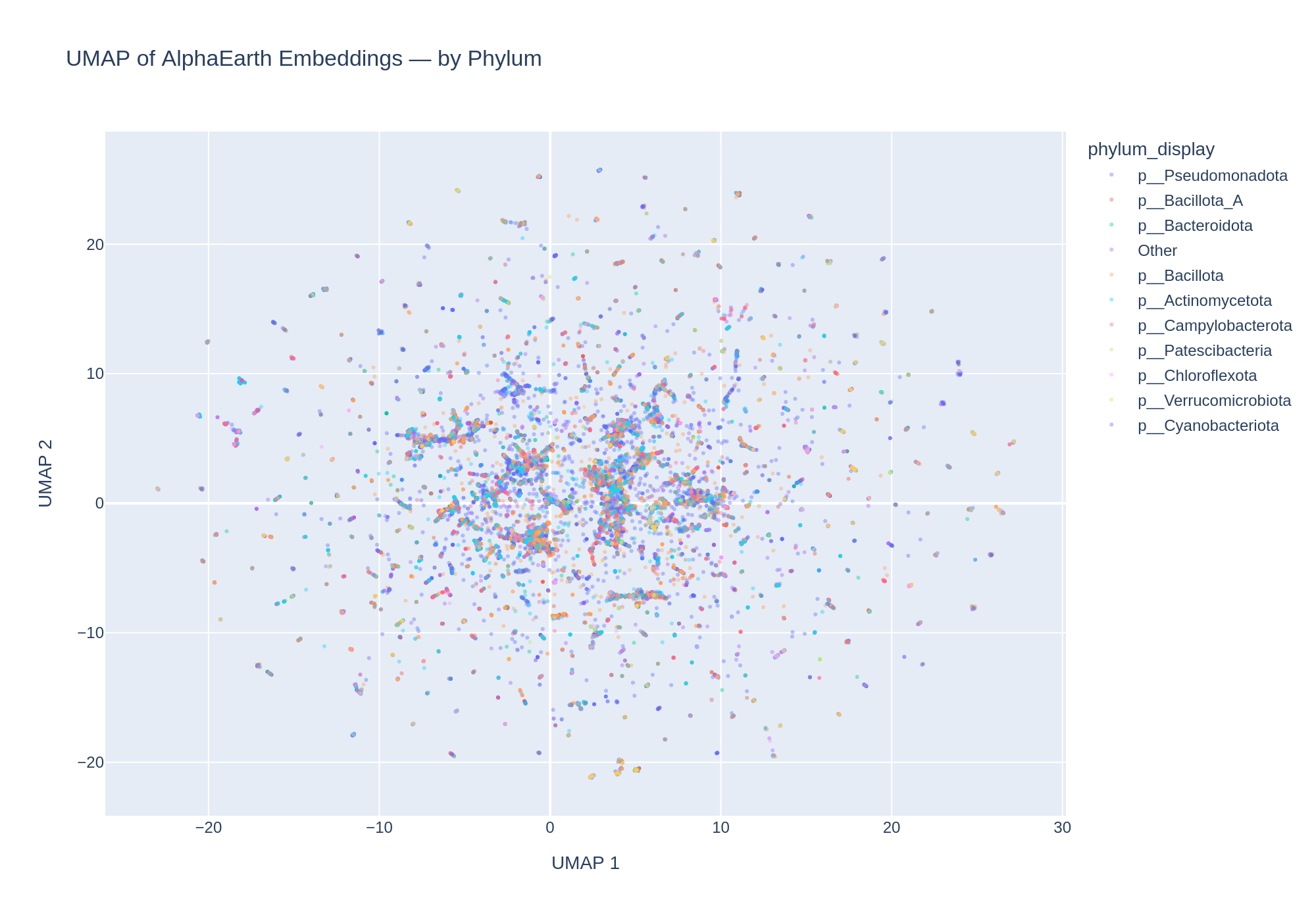UMAP colored by phylum