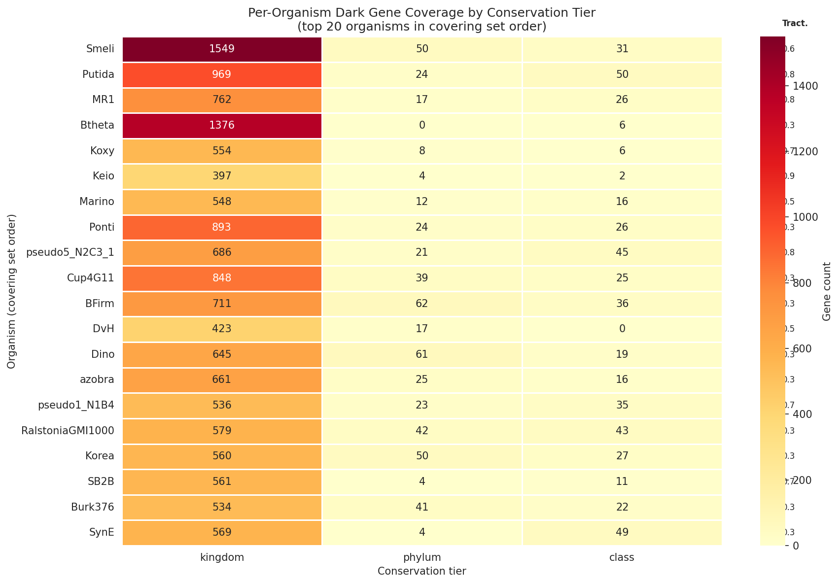 Experiment plan heatmap