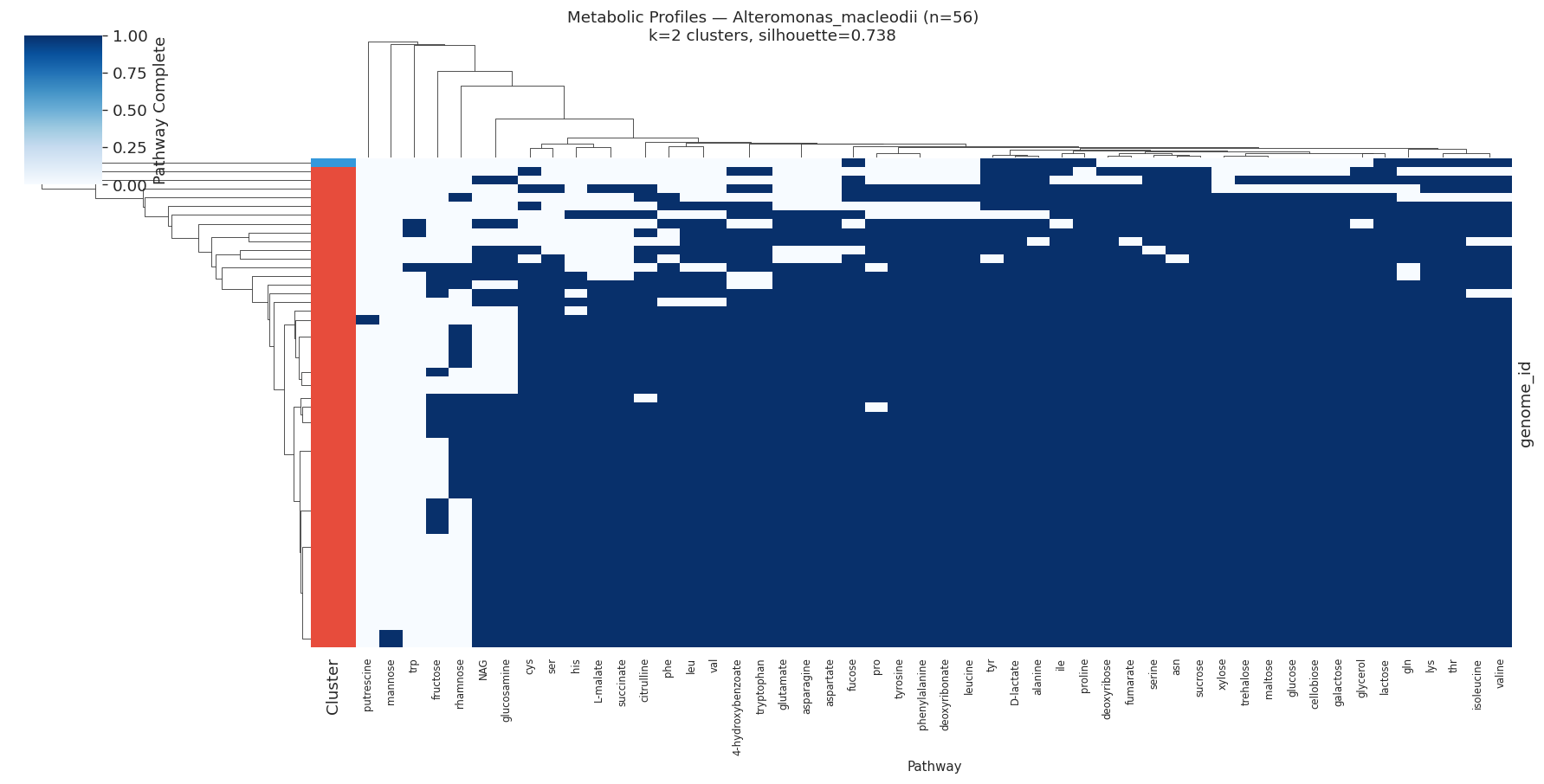 Nb05 Heatmap Alteromonas Macleodii