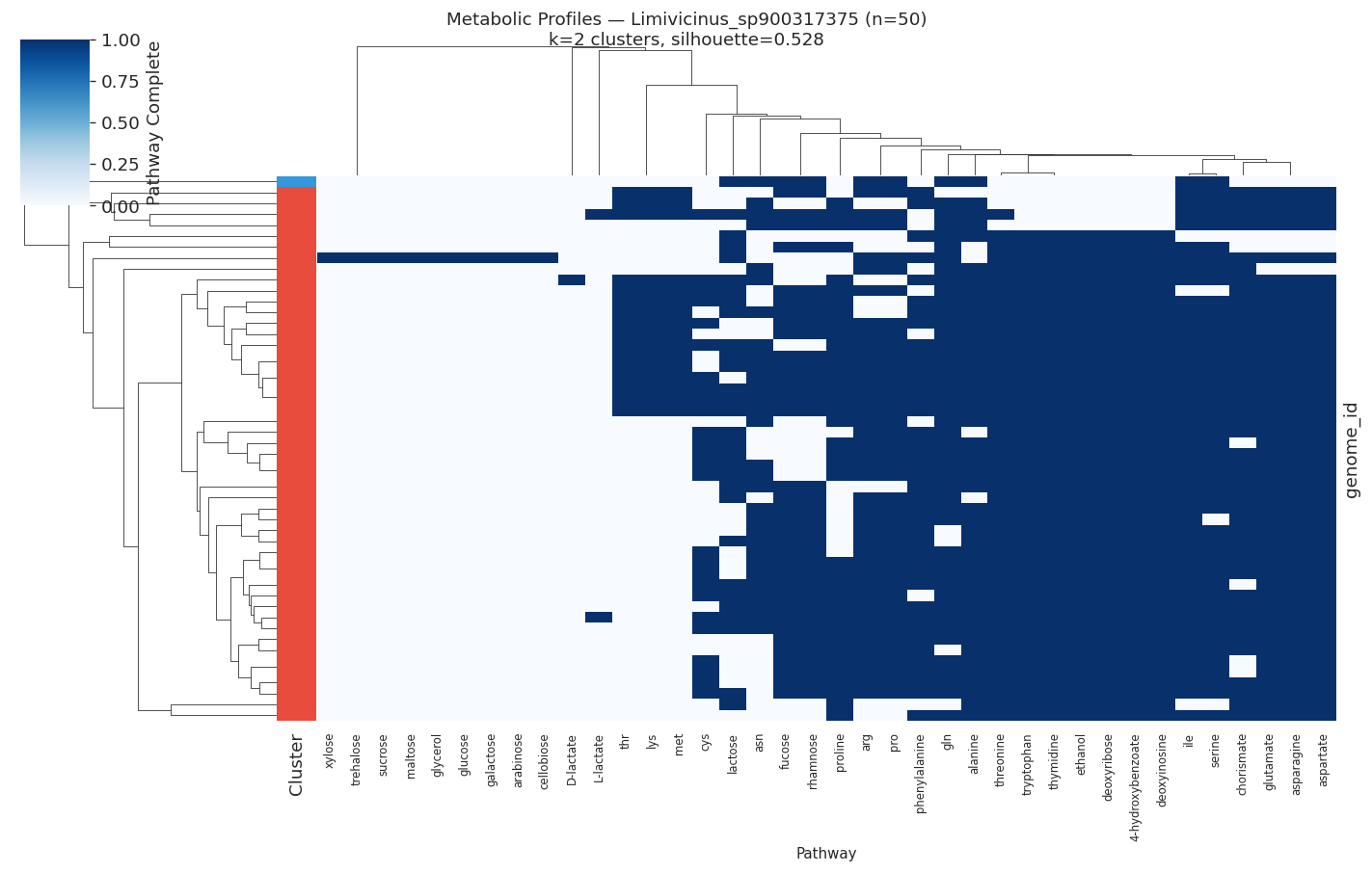 Nb05 Heatmap Limivicinus Sp900317375