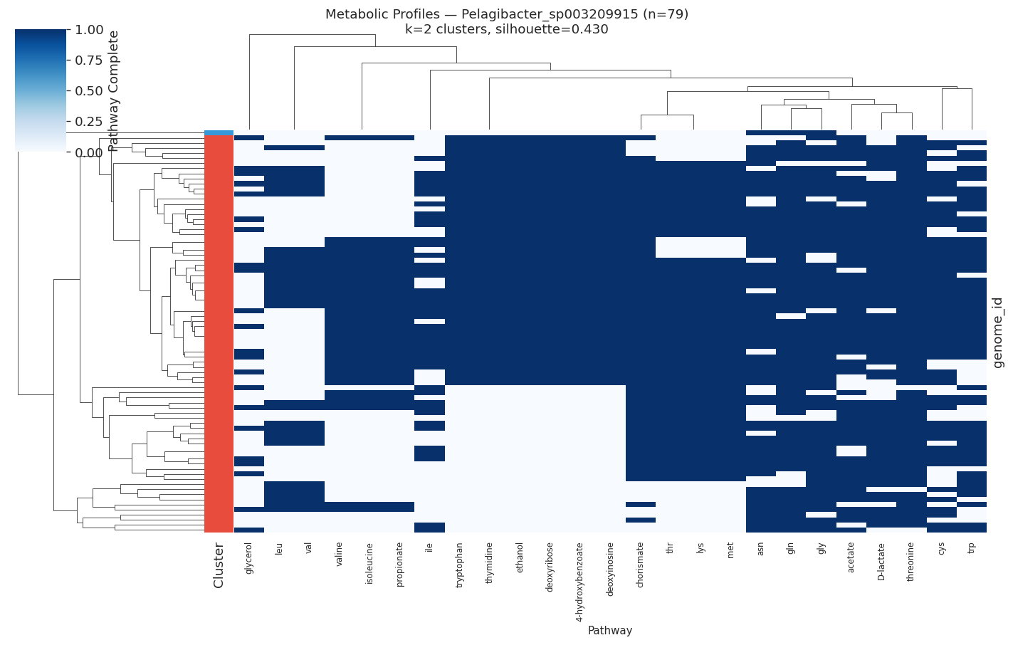 Pelagibacter metabolic profile heatmap