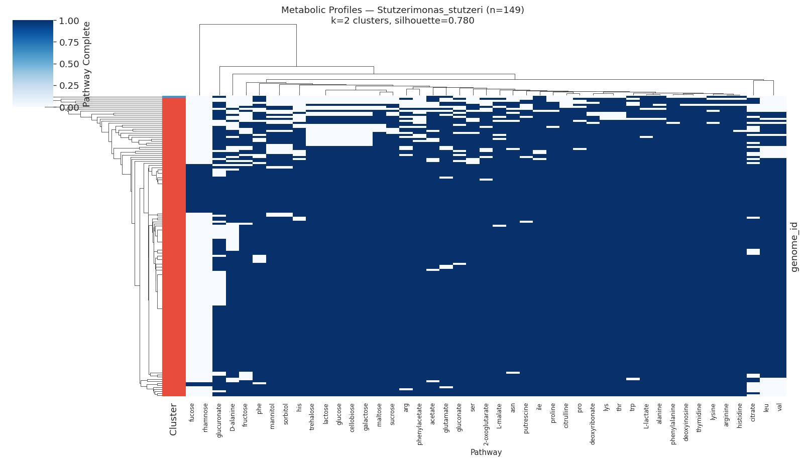 Nb05 Heatmap Stutzerimonas Stutzeri