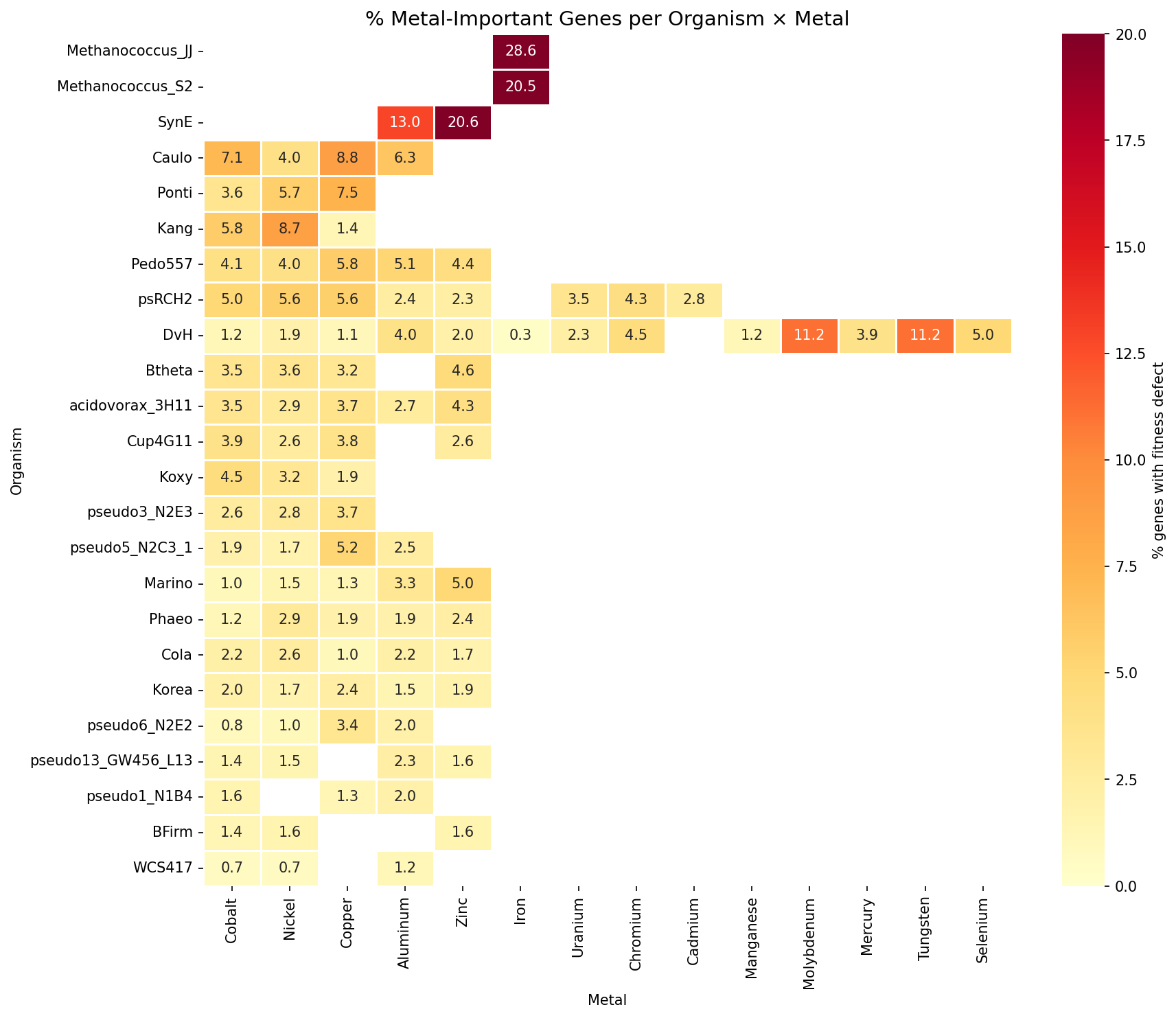Metal-important genes by organism