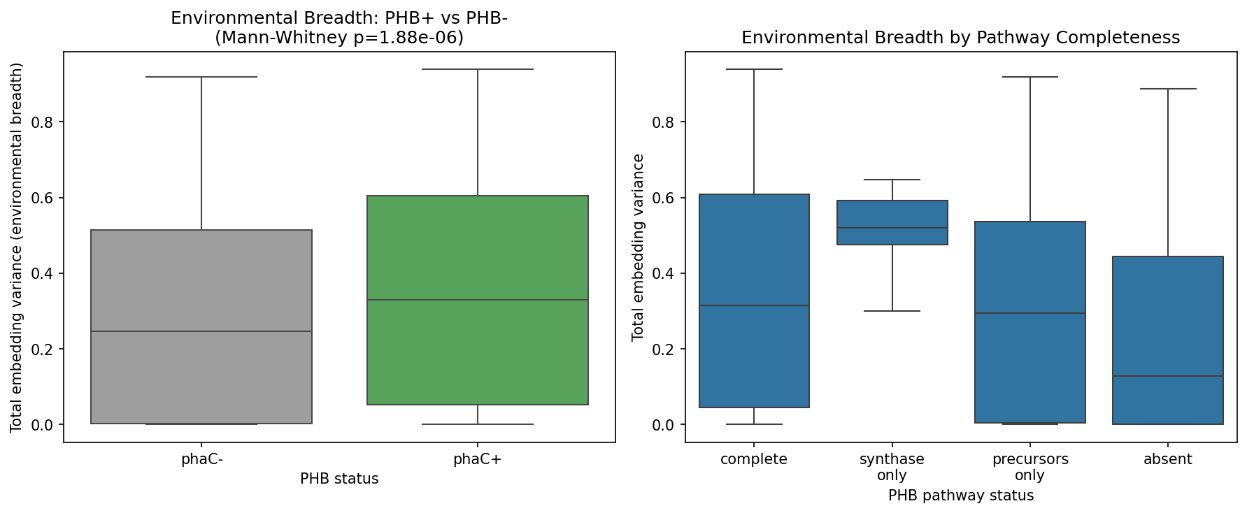 Box plots showing AlphaEarth embedding variance for phaC+ vs phaC- species, with phaC+ species showing significantly higher environmental breadth (p=1.88e-06)