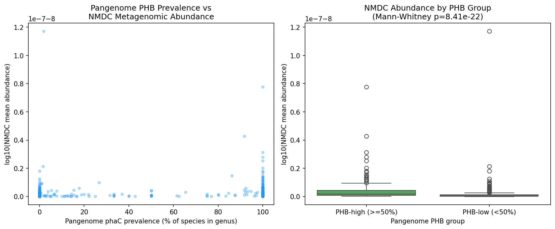 Pangenome PHB prevalence vs NMDC metagenomic abundance (left) and abundance comparison of PHB-high vs PHB-low genera (right)