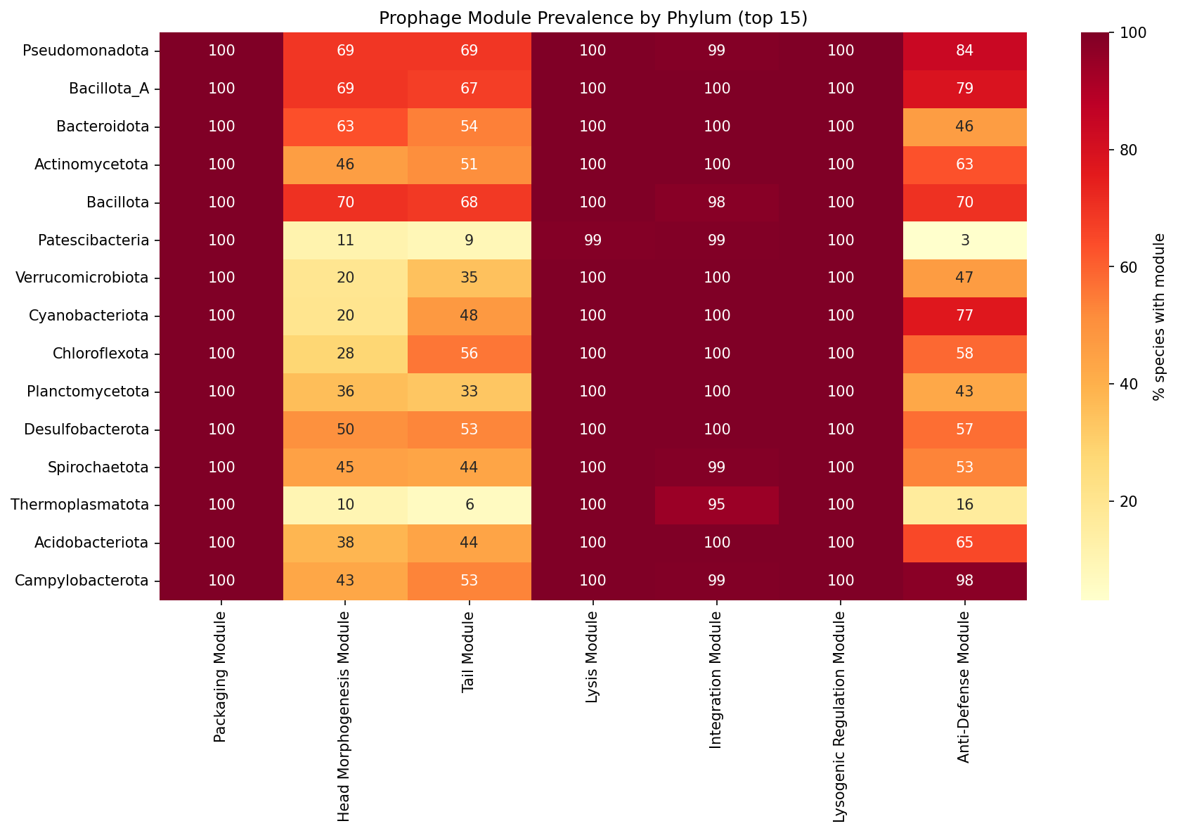 Prophage module prevalence by phylum