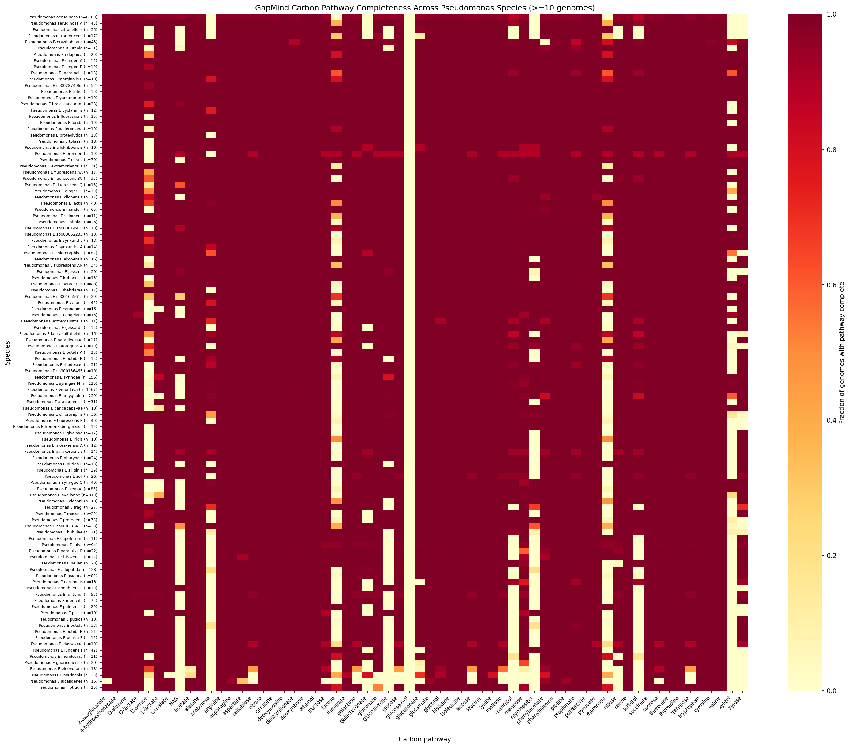 Pathway completeness heatmap across Pseudomonas species ordered by subgenus and lifestyle