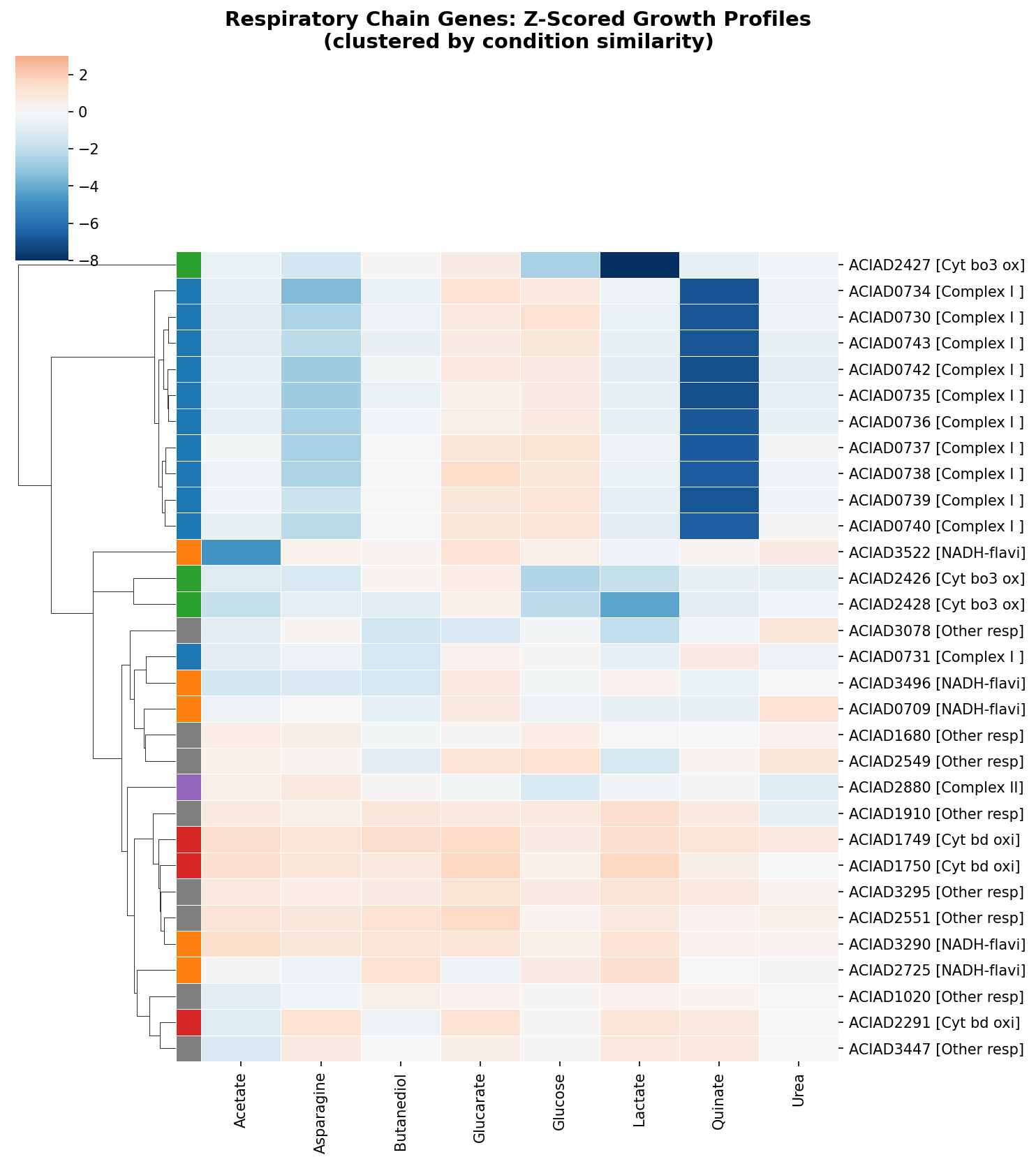 Respiratory chain clustermap