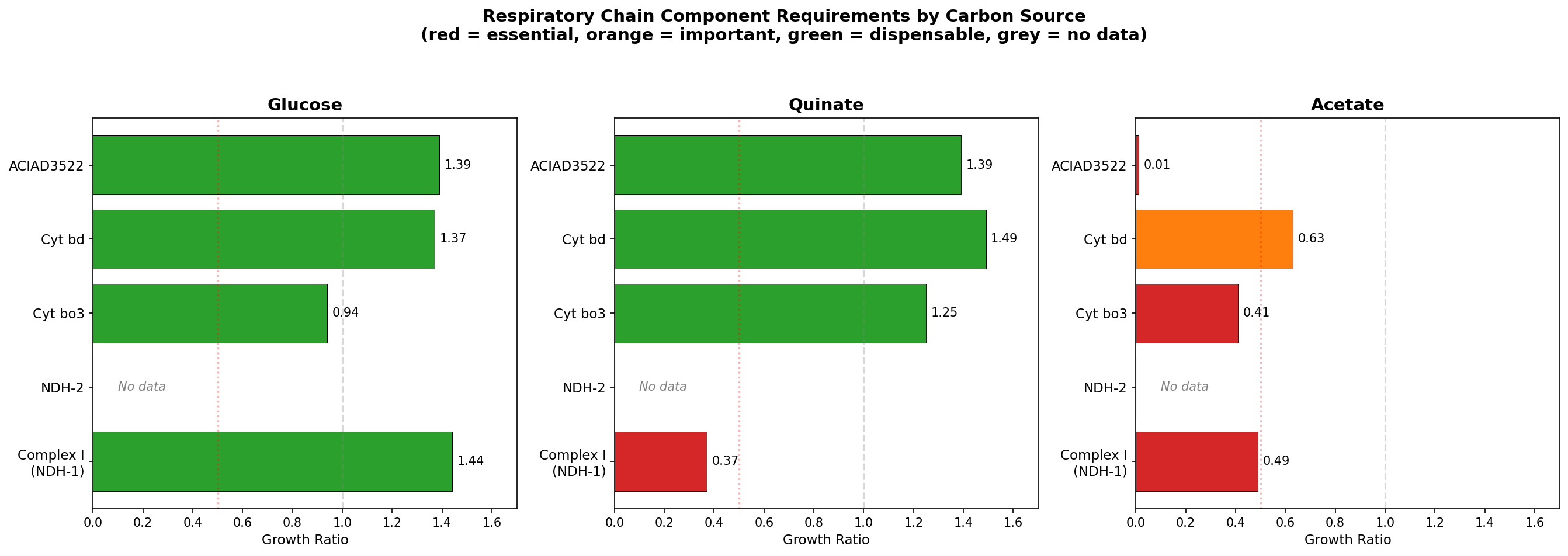 Respiratory chain wiring model: glucose vs quinate vs acetate